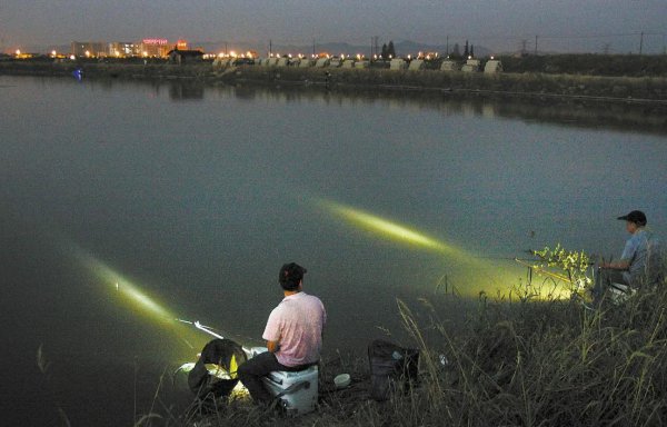 夏天夜钓钓深水还是浅水