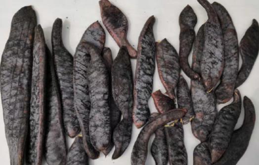 洗面奶和沐浴露可以洗头吗