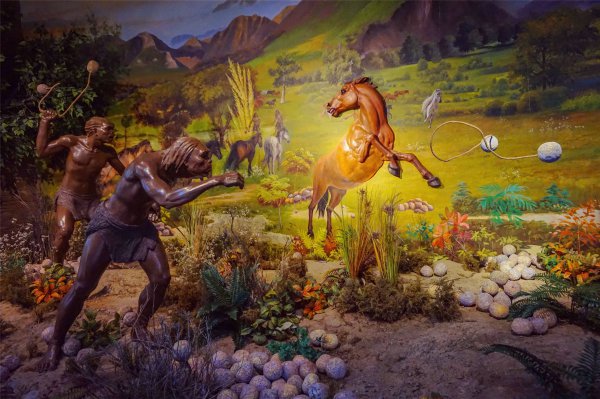 乌龟的寓意和象征