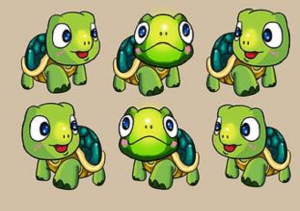 乌龟的寓意和象征