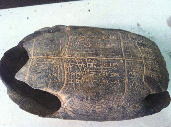 乌龟的寓意和象征