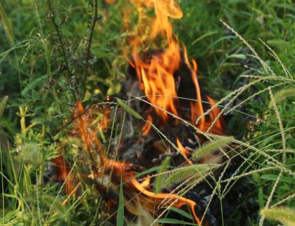 烧纸钱给去世的人能收到吗