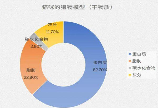 为什么猫咪感受不到甜味