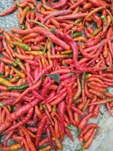 辣椒辣手最快解决办法 手搞完辣椒辣手的4个小妙招