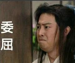 两只公猫可以一起养吗