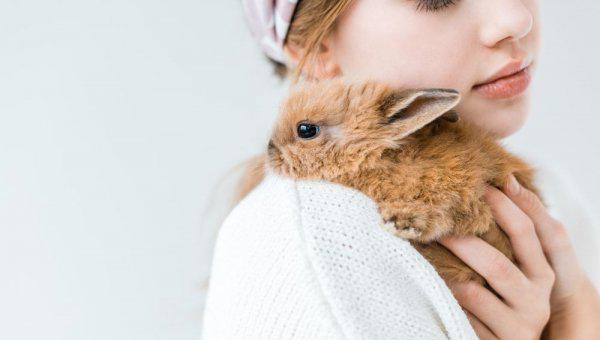 单独一只兔子会无聊吗