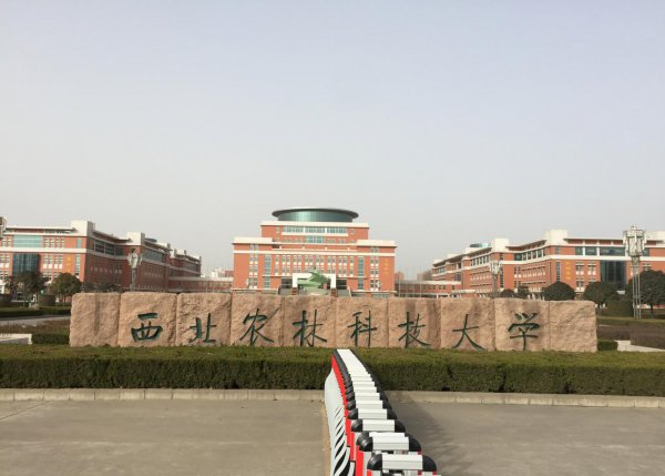 中国农业大学考研报录比