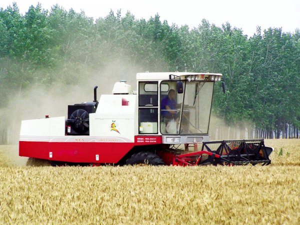 中国农业大学考研报录比