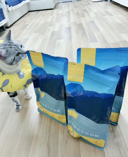 口碑比较好的国产猫粮