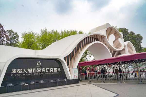 成都熊猫基地属于哪个区