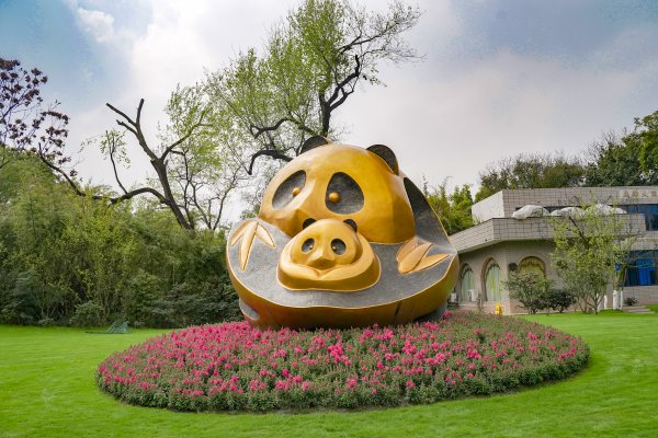 成都熊猫基地属于哪个区