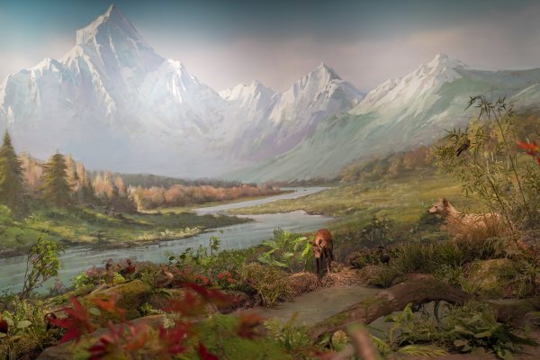 成都熊猫基地属于哪个区