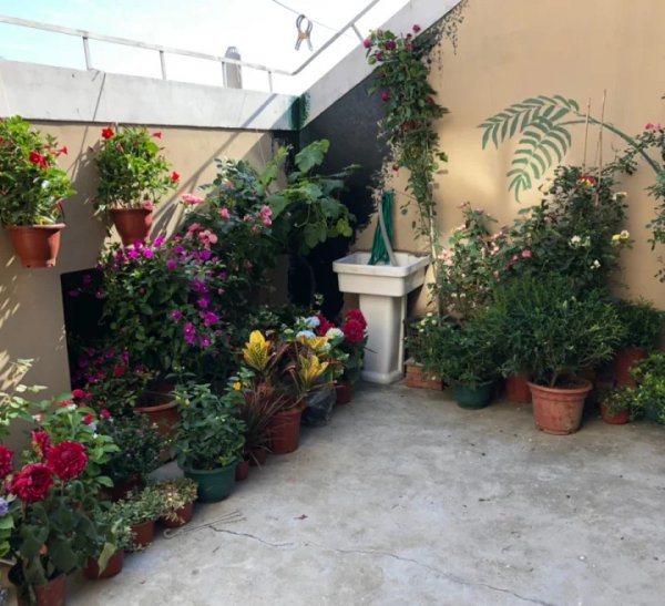 十一层的小高层买几楼最好