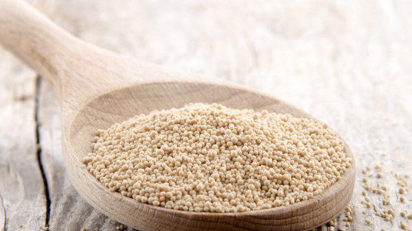 面粉发酵多长时间最好