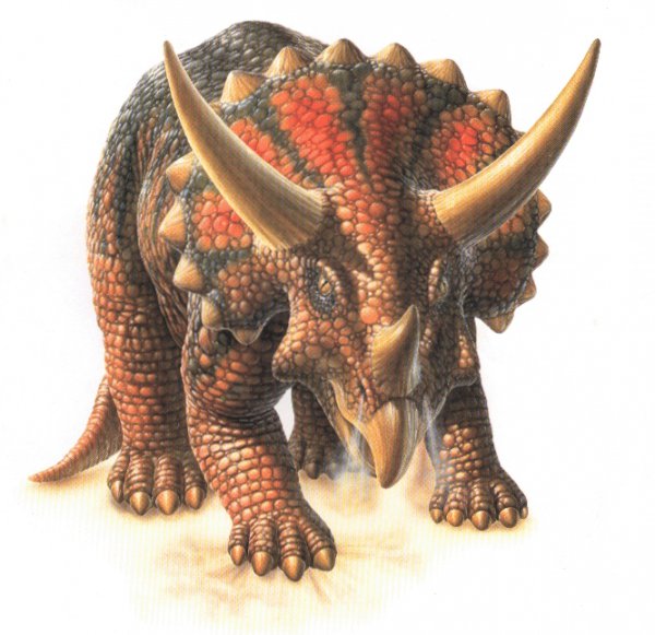 三角龙的外形特点