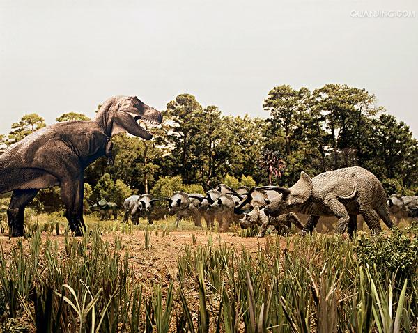 三角龙的外形特点