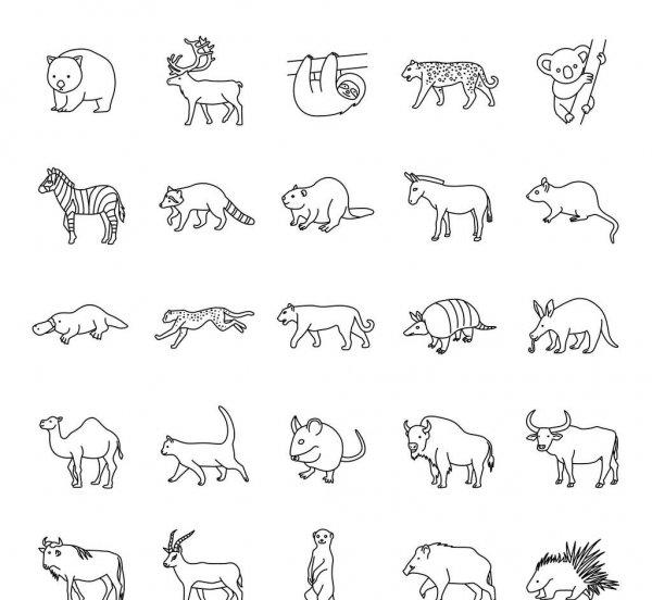 哺乳动物有哪些