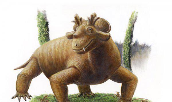 哺乳动物有哪些