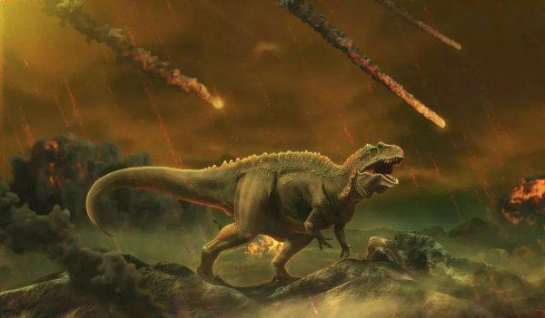 哺乳动物有哪些