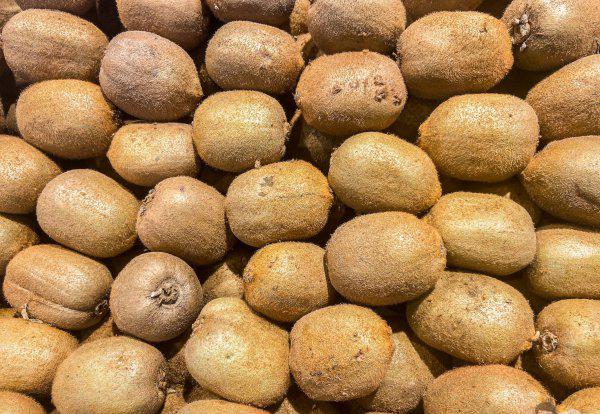 安徽名优特产水果都有哪些