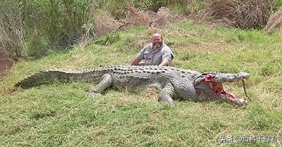 鳄鱼是国家几级保护动物
