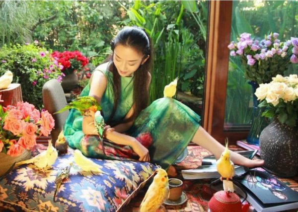 杨丽萍简历及个人资料简介