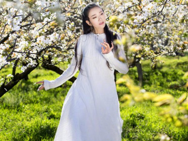 杨丽萍简历及个人资料简介