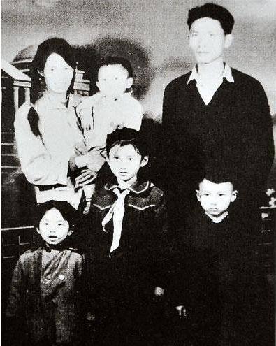 杨丽萍简历及个人资料简介