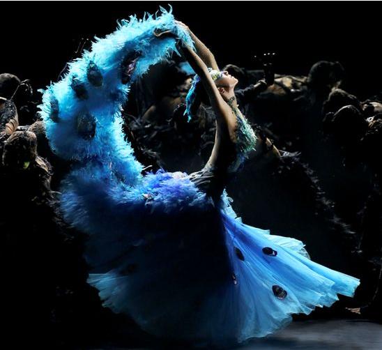 杨丽萍简历及个人资料简介