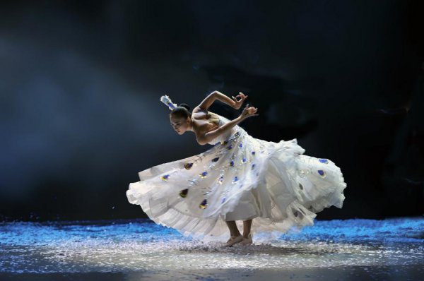 杨丽萍简历及个人资料简介