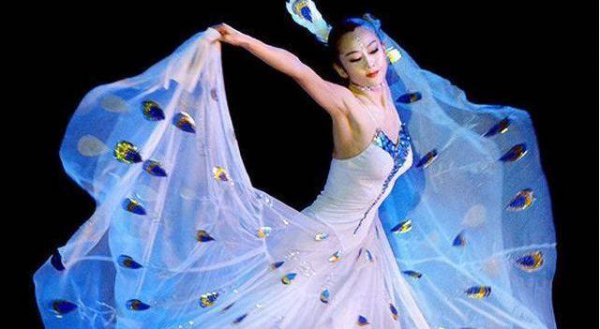 杨丽萍简历及个人资料简介