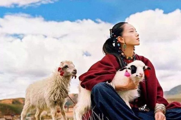 杨丽萍简历及个人资料简介