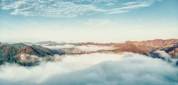 贪婪是什么意思解释一下