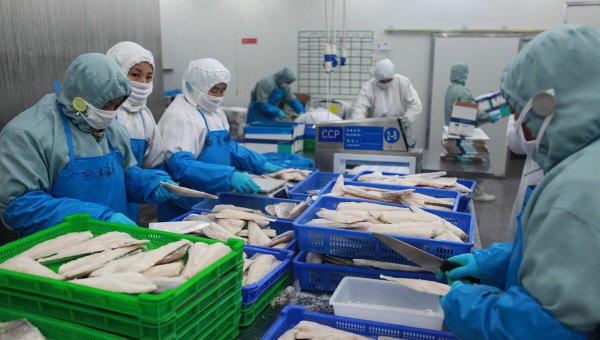 柴鱼又叫什么鱼