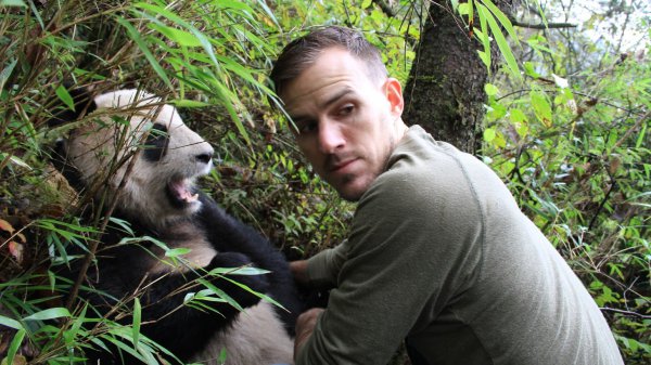 熊猫为什么只有中国有