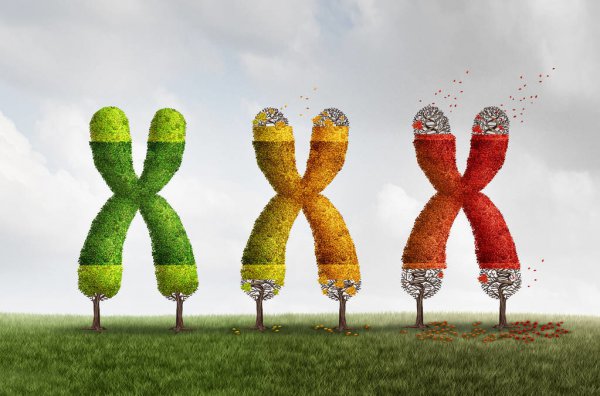 人类寿命极限是多少