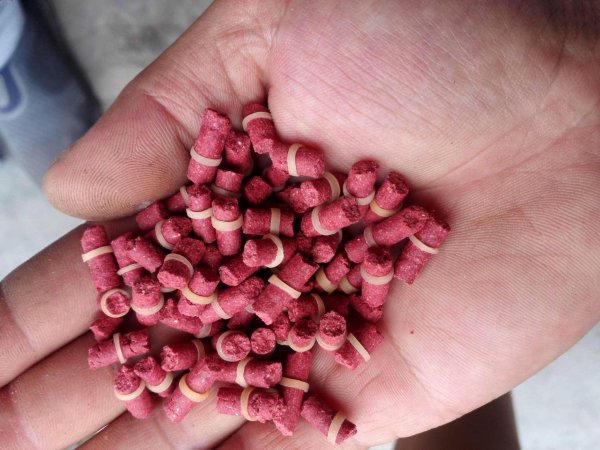 钓鲫鱼用什么鱼饵最好