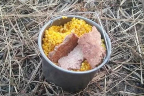 野钓鲫鱼最好的窝料