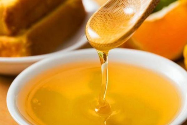 野钓鲫鱼最好的窝料