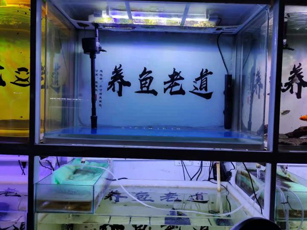 鱼缸水泵大小如何选择