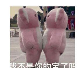 网络词语贴贴是什么意思