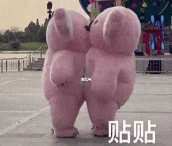 网络词语贴贴是什么意思