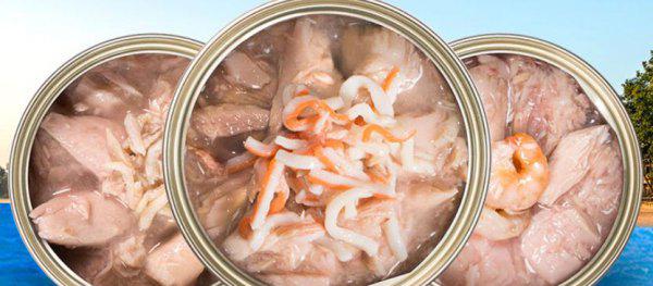 一个业内人士的选猫罐头建议