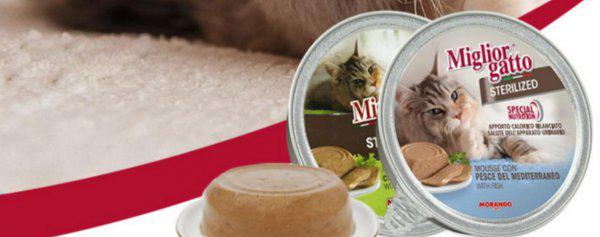 一个业内人士的选猫罐头建议