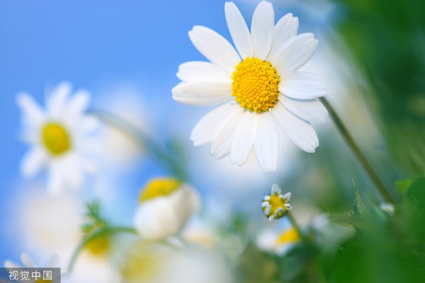 喜欢独处的女生性格