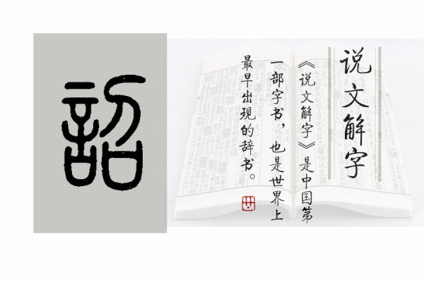 古代诏是什么意思