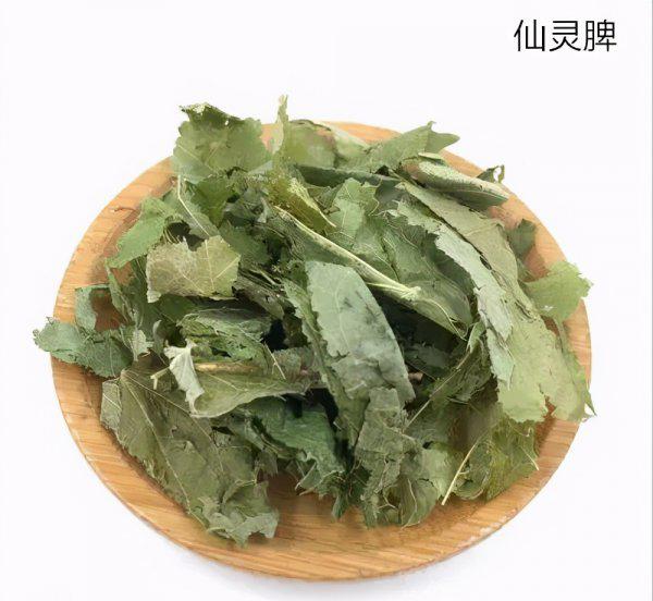 巴戟天的毒性强大