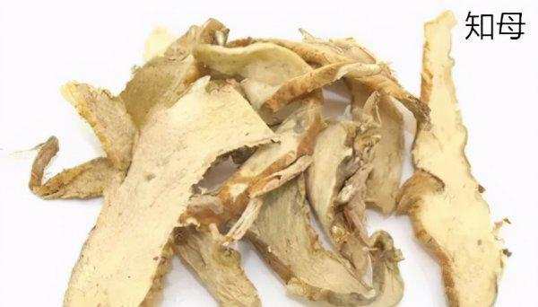 巴戟天的毒性强大