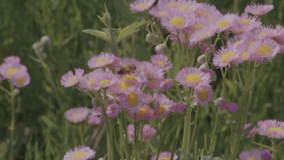 宝妈在家做什么可以挣钱 带娃宝妈在家可以做的赚钱渠道