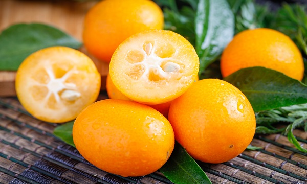 湖南正宗的十大特产